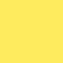 Flächenvorhang Ellen mit Zubehör - Gelb