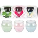 HS Candle Duftkerzen im Glas 3er-Set