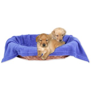 Haustierdecke - Kuscheldecke für Hunde blau - royalblau 60x80cm