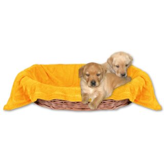 Haustierdecke - Kuscheldecke für Hunde hellorange - marigold 60x80cm