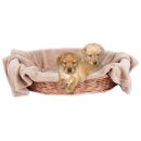 Haustierdecke - Kuscheldecke für Hunde sandbeige - creme 90x140cm
