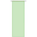 Schiebegardine Transparent "Noella"...