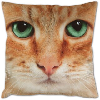 Kissenhülle Fotodruck 40x40 Katze beige ohne Füllung