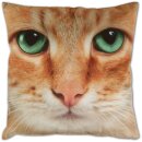 Kissenhülle Fotodruck 40x40 Katze beige ohne...