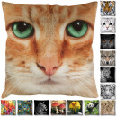 Kissenhülle Fotodruck 40x40 Katze beige ohne Füllung