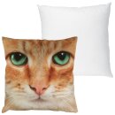 Kissenhülle Fotodruck 40x40 Katze beige ohne Füllung