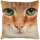 Kissenhülle Fotodruck 40x40 Katze beige ohne Füllung