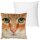 Kissenhülle Fotodruck 40x40 Katze beige ohne Füllung