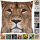 Kissenhülle Fotodruck 40x40 Löwe ohne Füllung