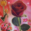 Laser Sticker in den Design Rosen 2