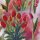 Laser Sticker in den Design Tulpen 2
