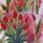 Laser Sticker in den Design Tulpen 2