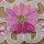 Tischdeckchen mit Stickerei  Rosa - Pink Eckig