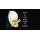 Grabkerze Rot 40h (Deckel Gold) - Calla