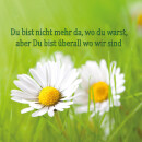 Grabkerze Weiß 40h (Deckel Gold) - Gänseblümchen