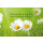 Grabkerze Weiß 40h (Deckel Gold) - Gänseblümchen