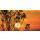 Grabkerze Rot 40h (Deckel Gold) - Sonnenuntergang