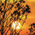 Grabkerze Rot 40h (Deckel Gold) - Sonnenuntergang