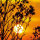 Grabkerze Rot 40h ( Deckel Gold ) - Sonnenuntergang