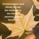 Grabkerze Weiß 40h (Deckel Gold) - Ahorn