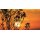 Grabkerze Weiß 40h (Deckel Gold) - Sonnenuntergang