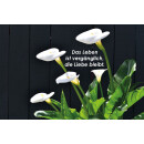 Grabkerze Weiß 40h (Deckel Gold) - Calla 2