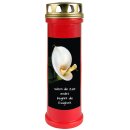 Grabkerze Rot 100h (Deckel Gold) - Calla