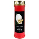Grabkerze Rot 100h (Deckel Gold) - Calla