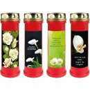 Grabkerze Rot 100h (Deckel Gold) - Calla