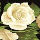 Grabkerze mit Blumen Motiv 48h Rosen