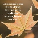 Grabkerze Weiß 48h (Deckel Gold) - Ahorn