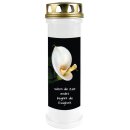Grabkerze Weiß 100h (Deckel Gold) - Calla