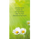 Grabkerze Weiß 100h (Deckel Gold) - Gänseblümchen