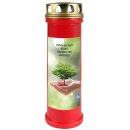 Grabkerze Rot 100h (Deckel Gold) - Baum