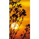 Grabkerze Rot 100h (Deckel Gold) - Sonnenuntergang