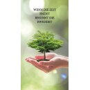 Grabkerze Weiß 100h (Deckel Gold) - Baum