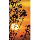 Grabkerze Weiß 100h (Deckel Gold) - Sonnenuntergang