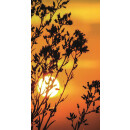 Grabkerze Weiß 100h (Deckel Gold) - Sonnenuntergang