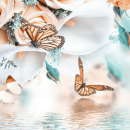 Grabkerze Weiß 100h ( Deckel Gold ) - Schmetterling