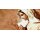 Grabkerze Rot 40h (Deckel Gold) - Maria