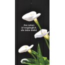 Grabkerze Rot 170h (Deckel Gold) - Calla 2