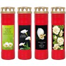 Grabkerze Rot 170h (Deckel Gold) - Rose