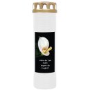 Grabkerze Weiß 170h (Deckel Gold) - Calla