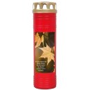 Grabkerze Rot 170h (Deckel Gold) - Ahorn