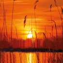 Grabkerze Rot 170h (Deckel Gold) - Ufer