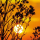 Grabkerze Rot 170h ( Deckel Gold ) - Sonnenuntergang