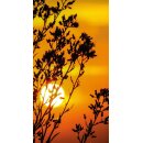 Grabkerze Weiß 170h (Deckel Gold) - Sonnenuntergang