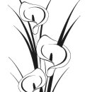 Grabkerze Rot 100h (Deckel Gold) - Calla