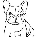 Grabkerze Weiß 100h (Deckel Gold) - Bulldogge