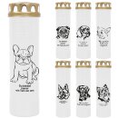 Grabkerze Weiß 170h (Deckel Gold) - Mops